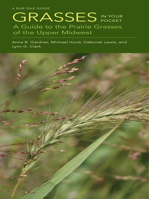 cover image of Grasses in Your Pocket
